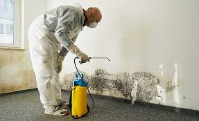 Mold Odor Removal Services in Sparta, GA